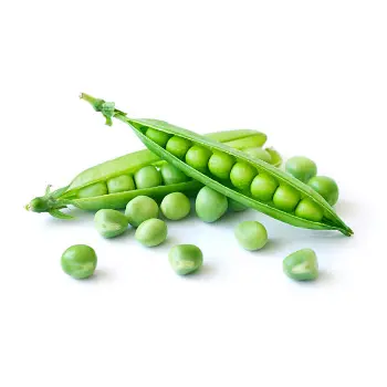 Fresh Green Peas
